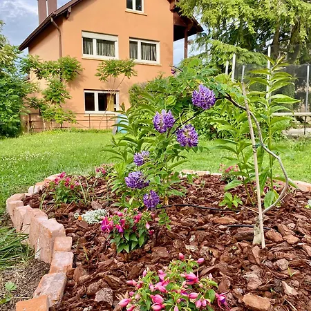 Casa Andalucia * Jungholtz